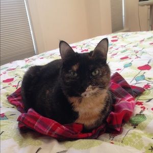 Meet your Posher, Miriam